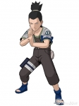 shikamaru nara